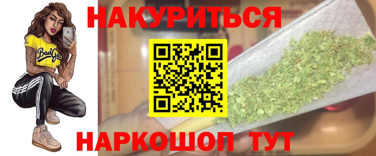 Марихуана сатива Новокубанск